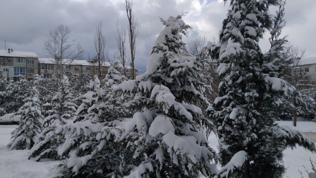Зима пришла в Севастополь