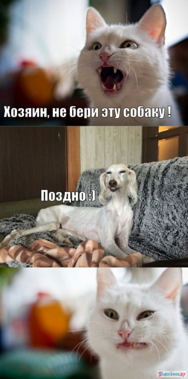 Так себе картинки 10.03.22
