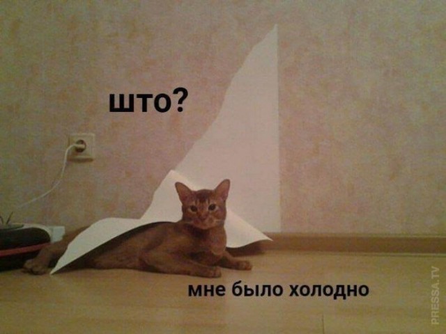 Картинки и мемы для настроения - 19