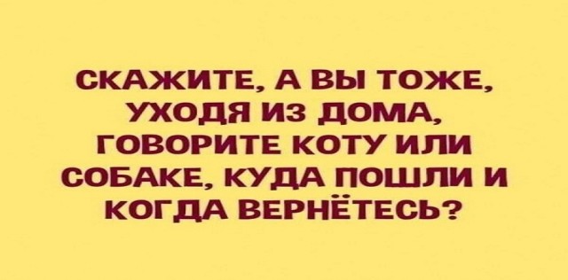 Немного картинок для настроения - 112