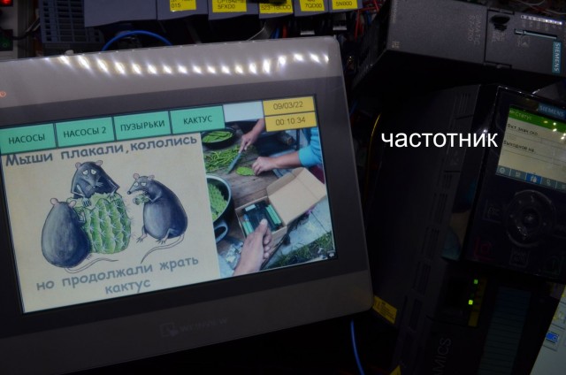 «Газпром» полностью остановил «Северный поток» на неопределенный срок