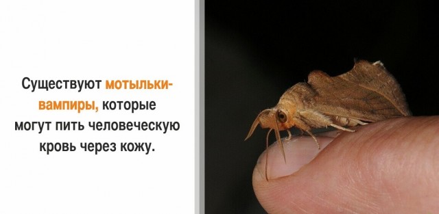 30 суровых фактов, которые пугают больше, чем фильмы ужасов