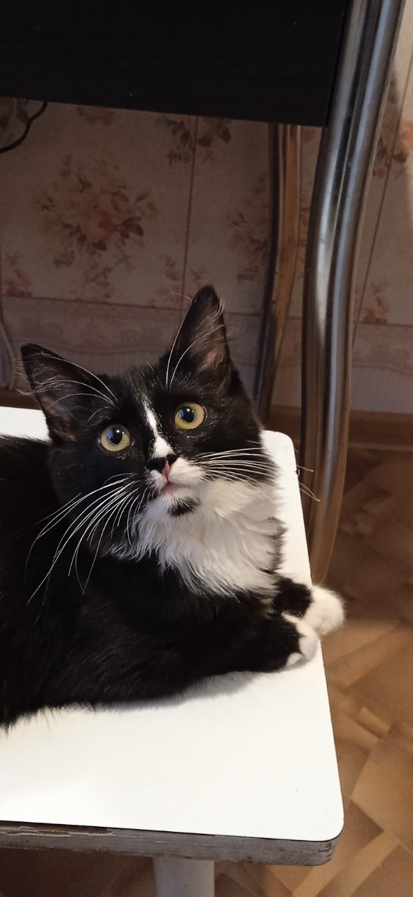 Меня сегодня выбрали