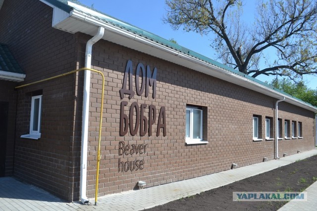 Дорога к бобру