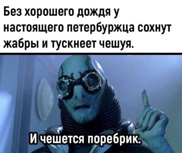 Юмор в картинках и без 15.12.2022