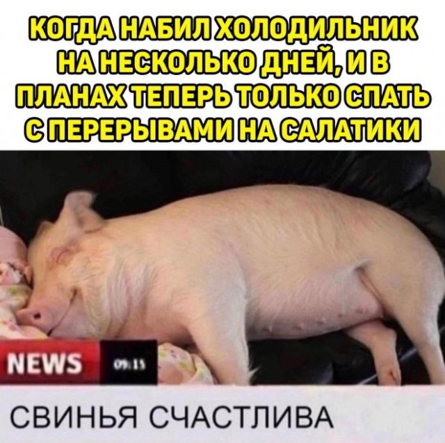 Картинки и мемы, всем хороших выходных