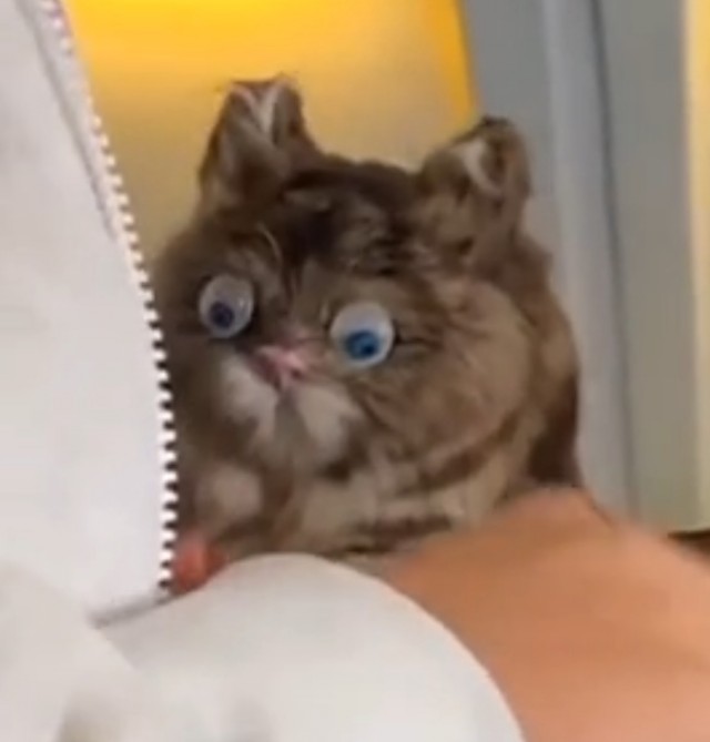 Эмоциональная поддержка службы экстренной помощи