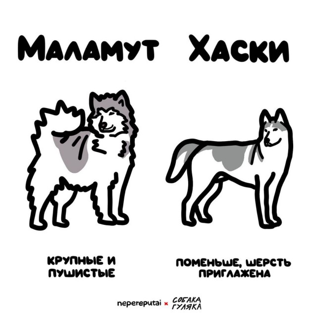 Смотри, Кутузов, не перепутай... vol.3