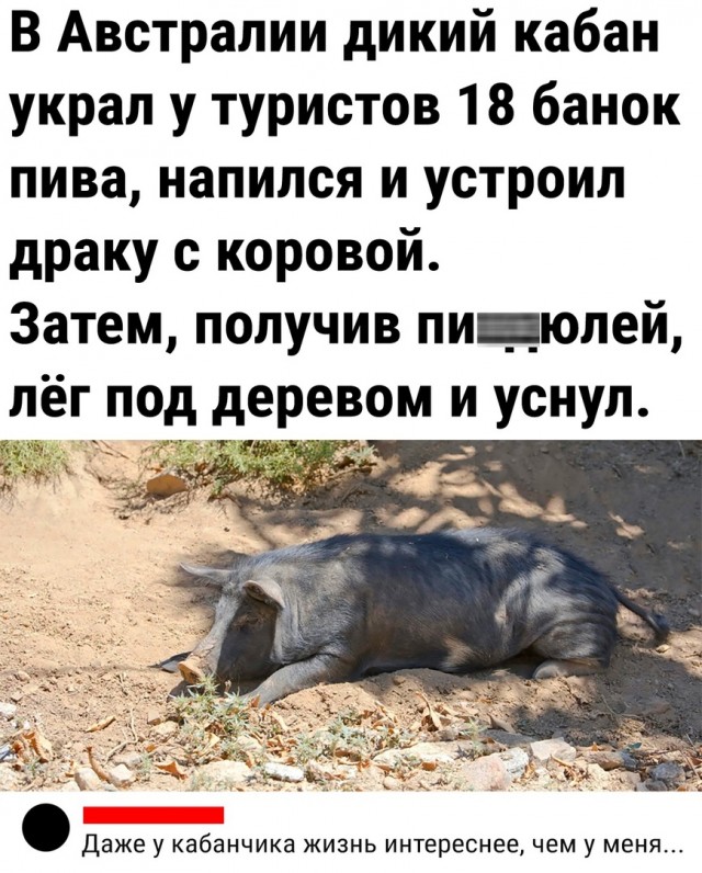 Так себе картинки 11.06.23