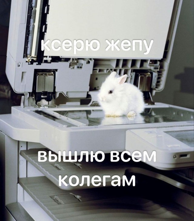 Всего понемногу. От 24.02.24