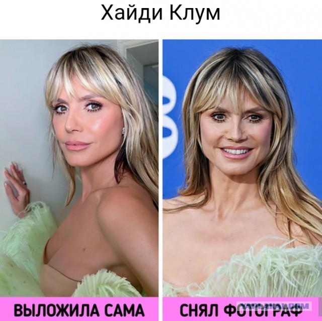 Такие разные звезды