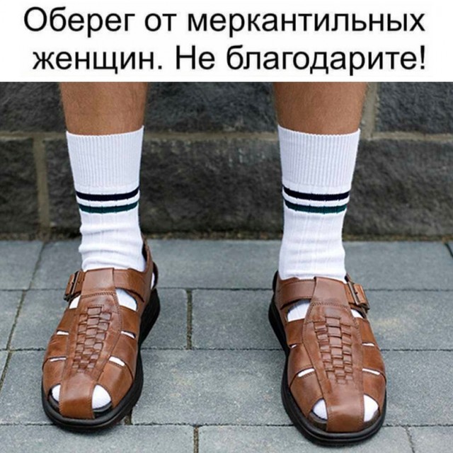Весёлый полтишок 15.04.24