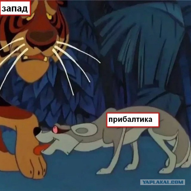 Эстония обсуждает возможность отправки войск на Западную Украину, но боится делать это в одиночку