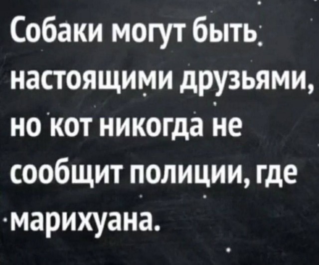 Конечно коту я доверяю