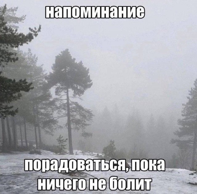 Так себе картинки 04.12.24