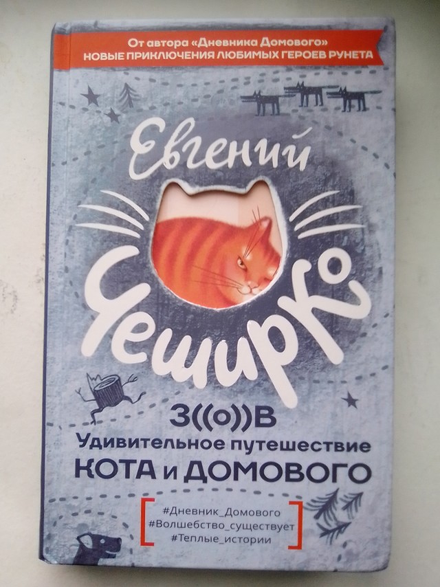 Новые приключения Кота и Домового