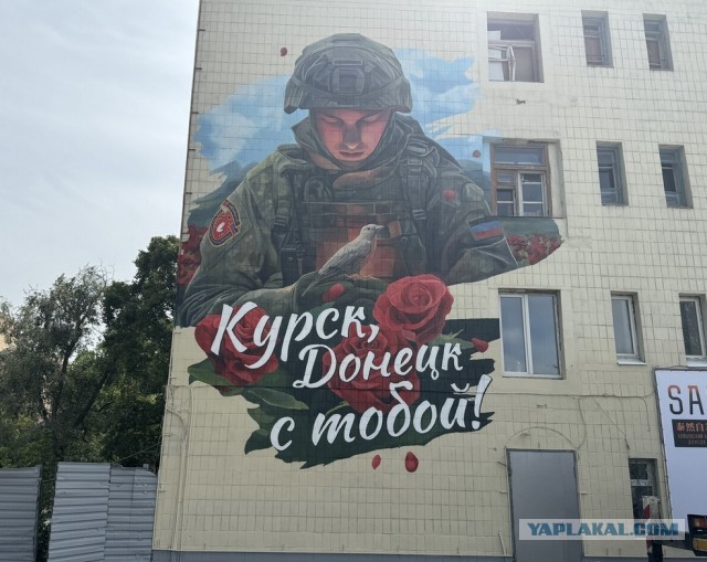 Украсили стену