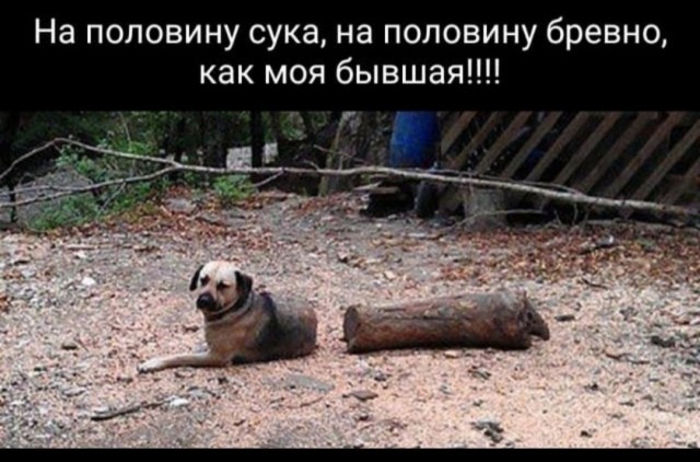 Вся правда о Пиноккио: мрачная сказка