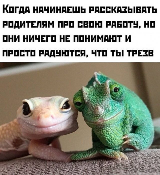 Веселые картинки в пятницу (11.07)