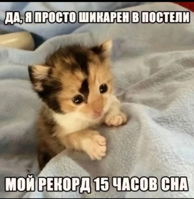 Давно не было....