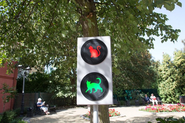 Город котов.