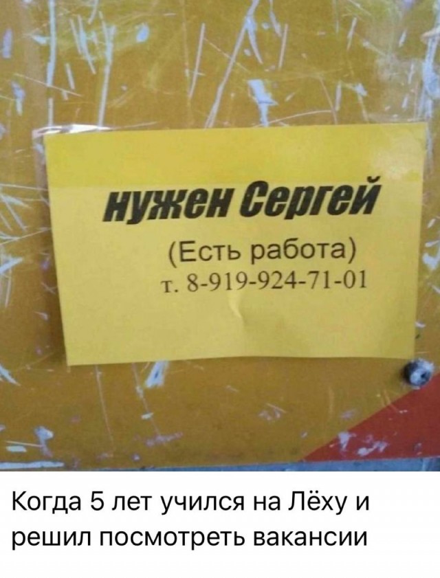 20387667.jpg