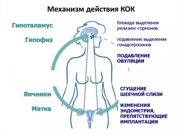 У зумеров действительно проблемы с сексом