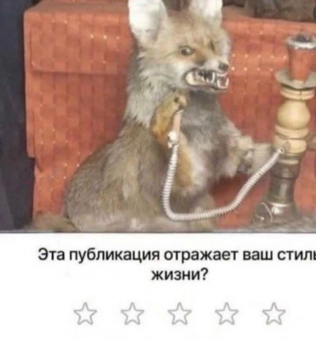 Картинки для деградации 120 (разной степени свежести)