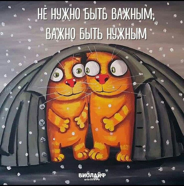 Прикольные и просто красивые картинки 30.01.2026