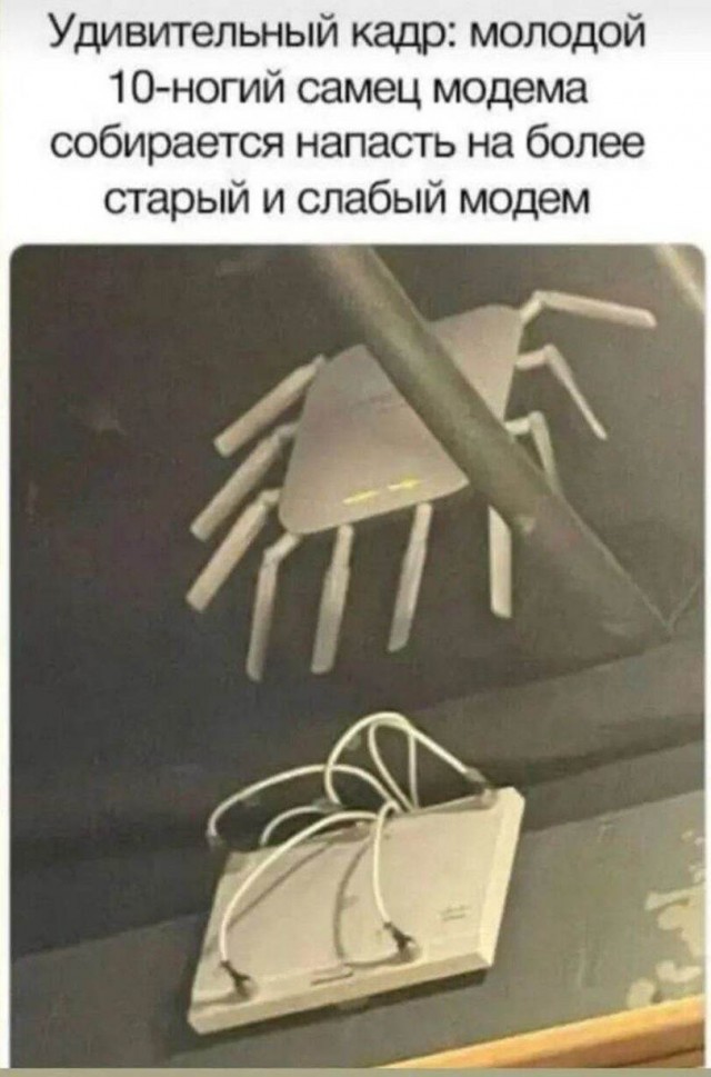 Картиночки, баянчики 15 февраля