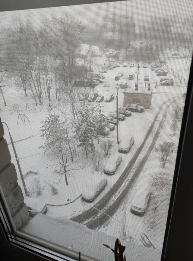 Погода