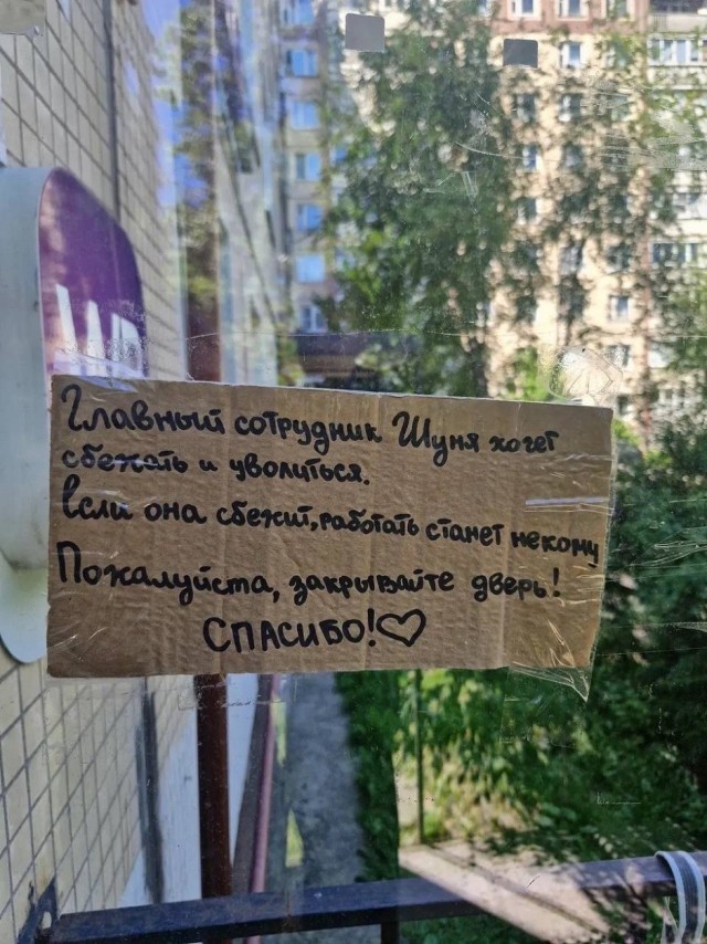 Так себе картинки 22.06.26