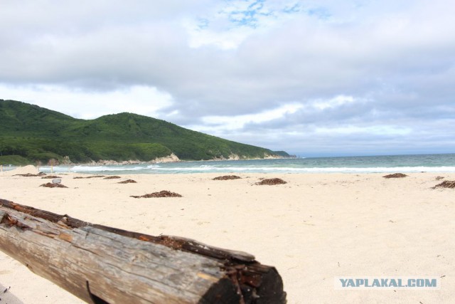 Владивосток и Русский остров с высоты...