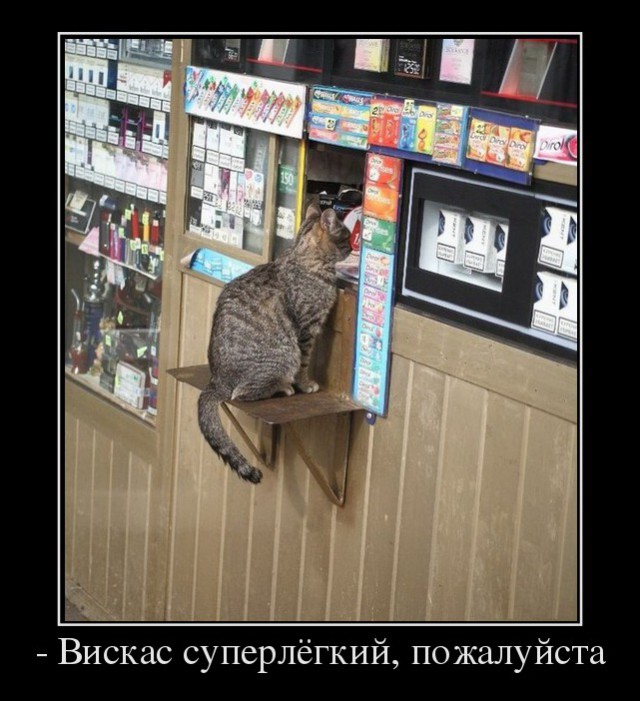 Веселое из сети