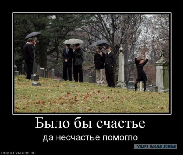 Забавные картинки из Сети