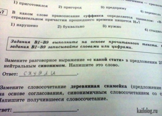 Весёлые картинки
