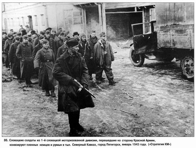 Завалили трупами