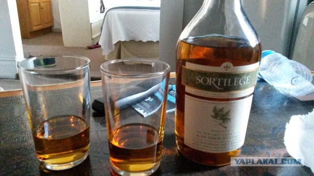 17 алкогольных напитков с самым странным и неожиданным вкусом