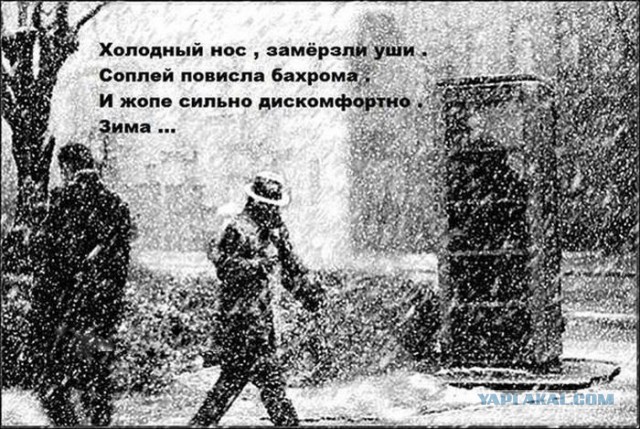 Подборка прикольных и веселых картинок