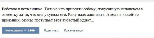 «Я пыталась заслонить дочь»: собака напала на маму с шестилетней девочкой в центре Новосибирска