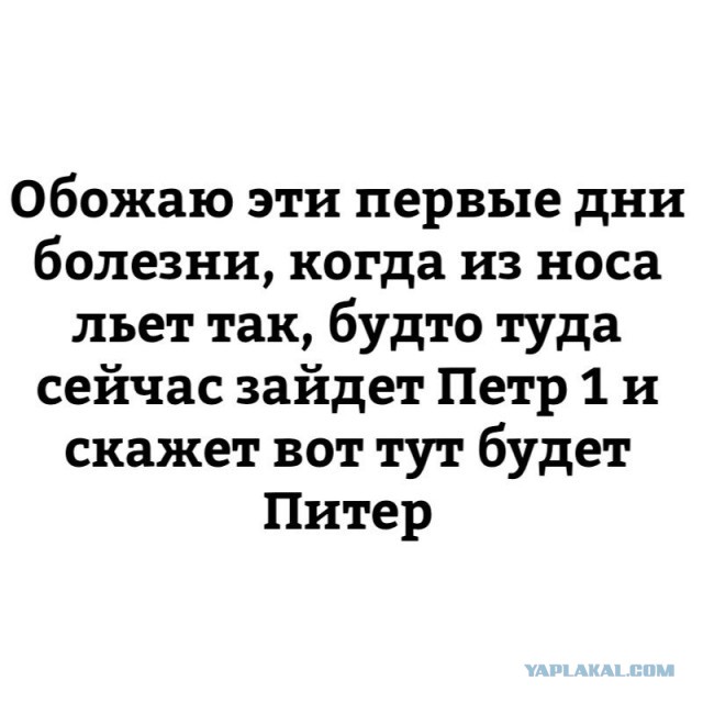 Смешные комментарии из социальных сетей 08.12.2017