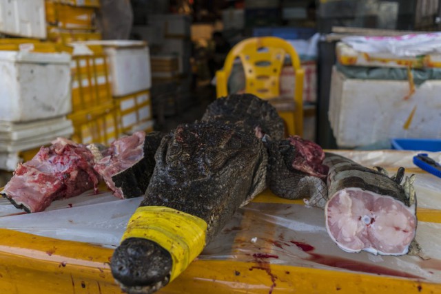 Китайский рынок морепродуктов