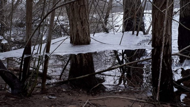 Подборка интересных и веселых картинок