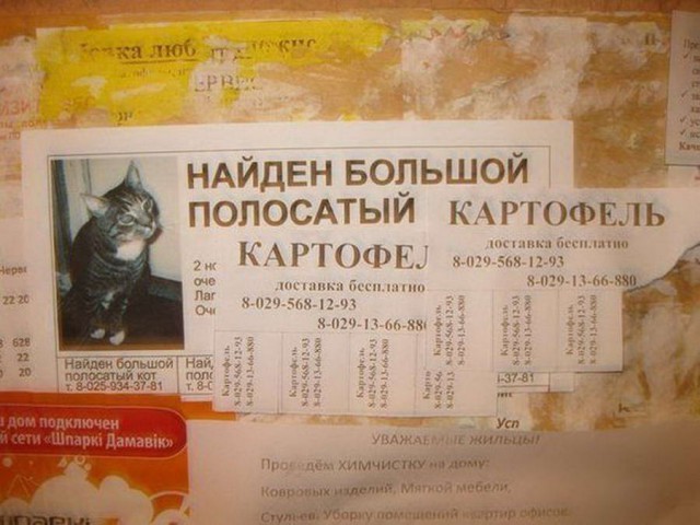 Скотсети и прочие интернеты 12.03.18