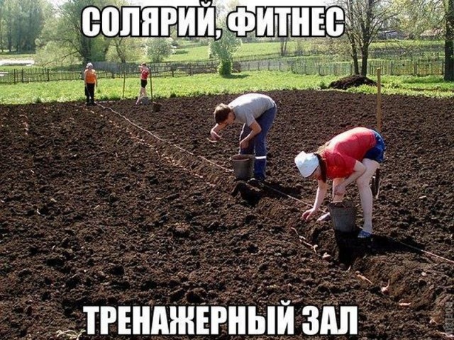 Картинки по-приколу