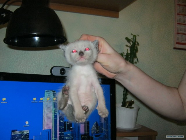 Новые устройства