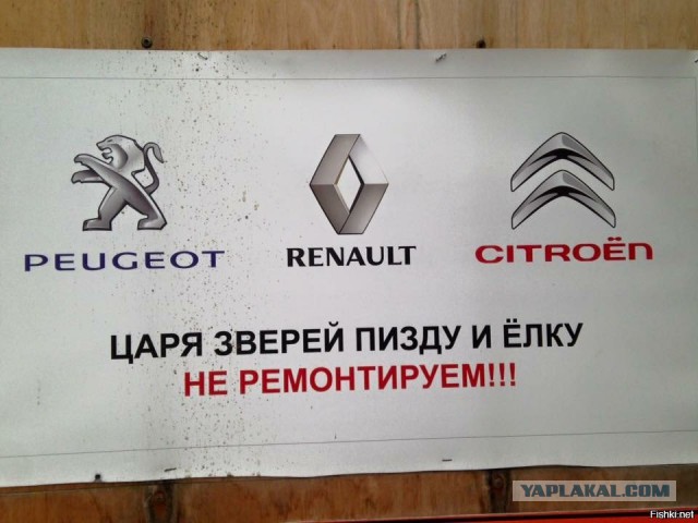 Вы удивитесь, но это - Пыжик!