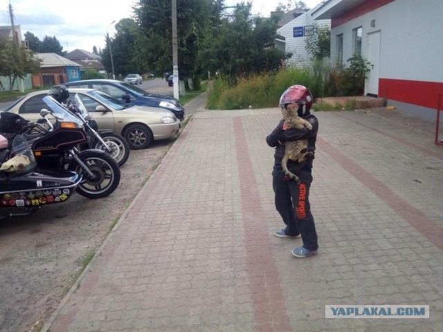 Жизнь в своем доме + и -