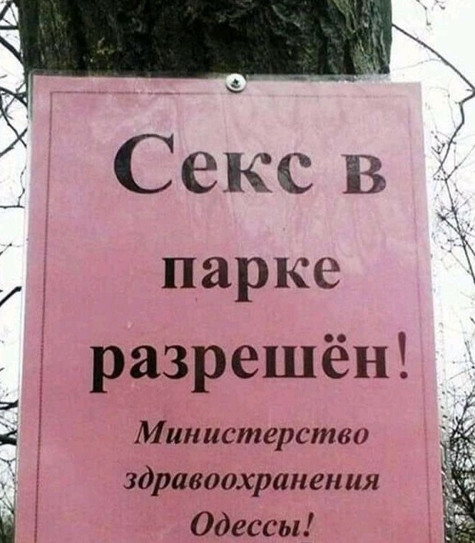 Подборка интересных и веселых картинок 04.09.19