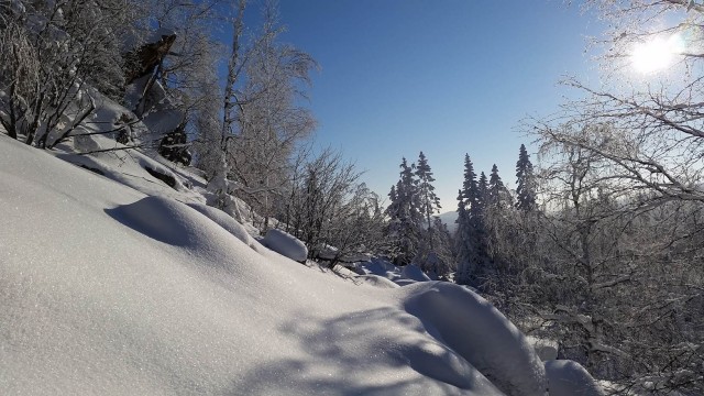 Немного зимних фото
